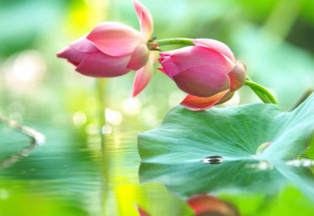 「生肖」6月事业突飞猛进，苦尽甘来，财运兴旺，存款翻倍的三大生肖