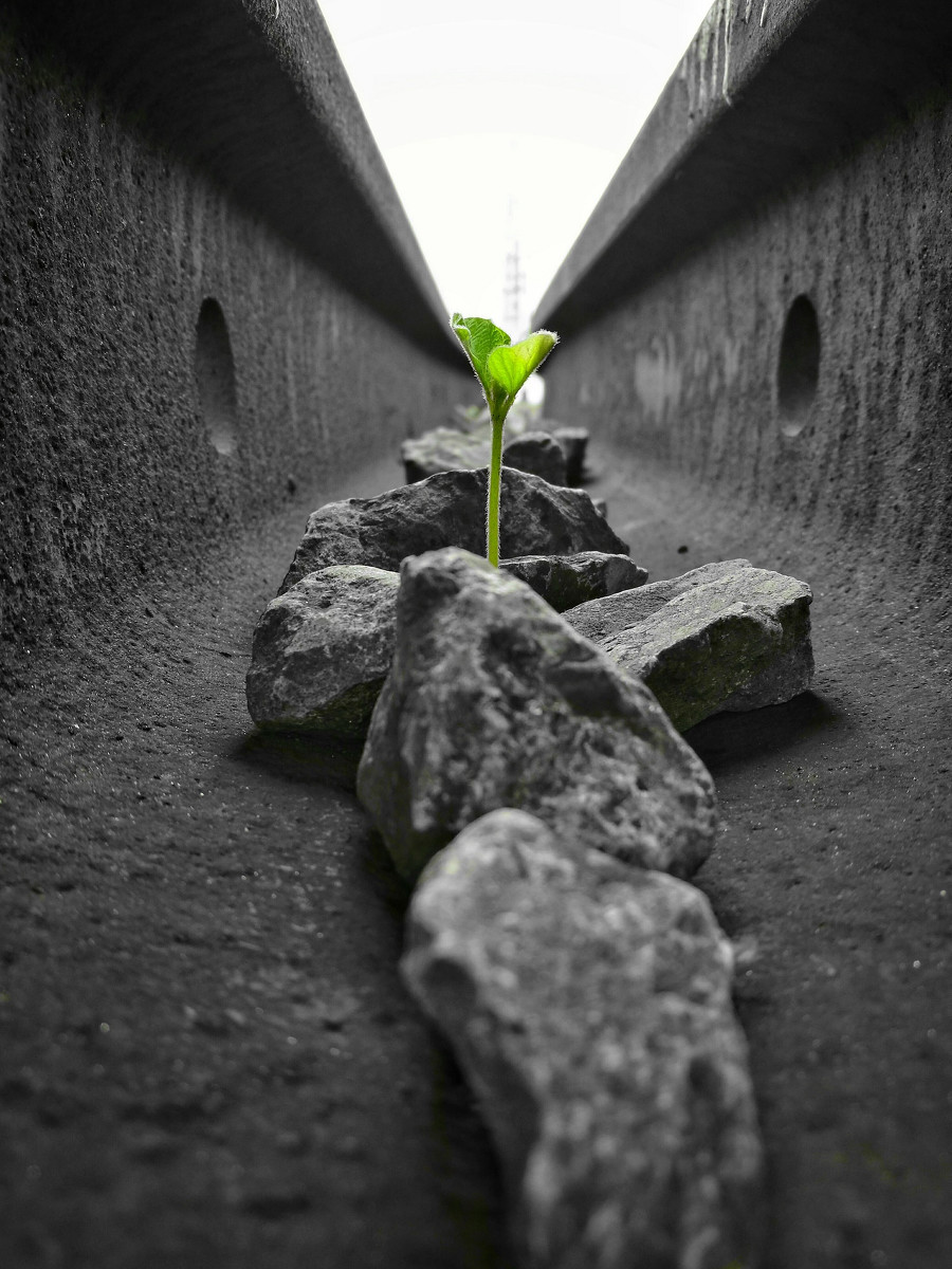 运势|下半年能够绝境逢生、扭转运势的三个星座，终于否极泰来了！