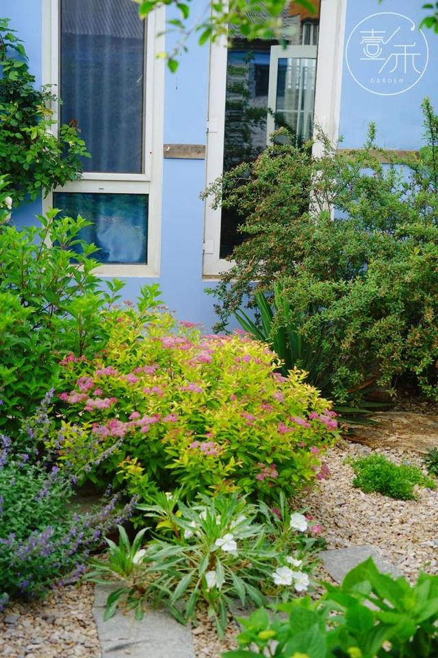 子木|沙地花园，低维护成本的花园设计