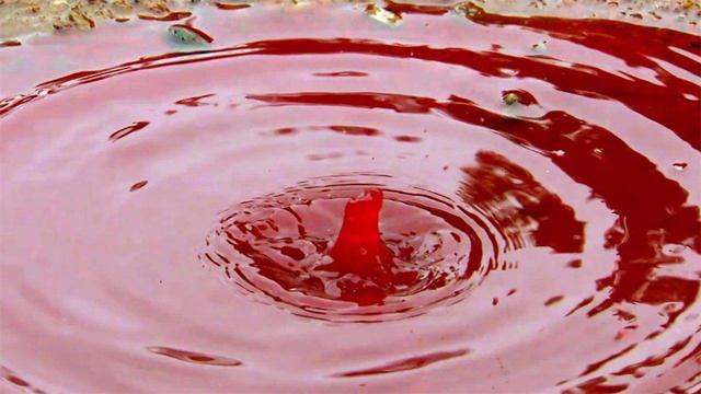 『』难道真有另一个世界? 印度下了两个月“血雨”, 到底怎么回事?