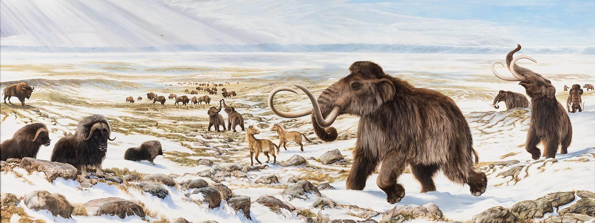 猛犸象:“地球空心说”揭示地下世界的存在?它们原本不想打扰人类?