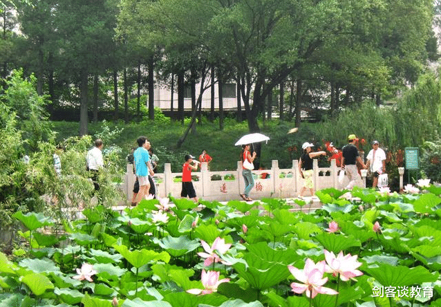 高校■市教委公布开学顺序，毕业生笑了，其他年级“神兽”家长哭了