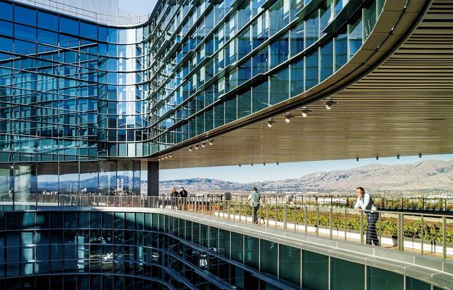 浙江大学：浙大高材生高薪入职美国公司，10年后遇到困境，不愿回国选择跳楼