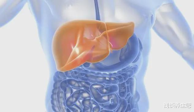 肝脏@保肝,四种食物一口不能碰,若你经常吃,肝脏十有八九已经病变了!