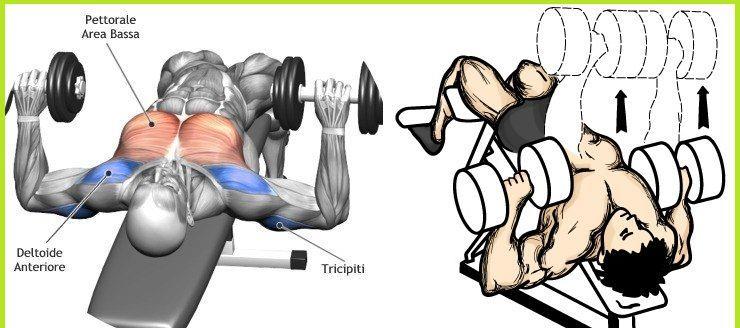 「胸肌」“他胸肌练得真好!”是怎样找准训练角度,进步快人3倍!
