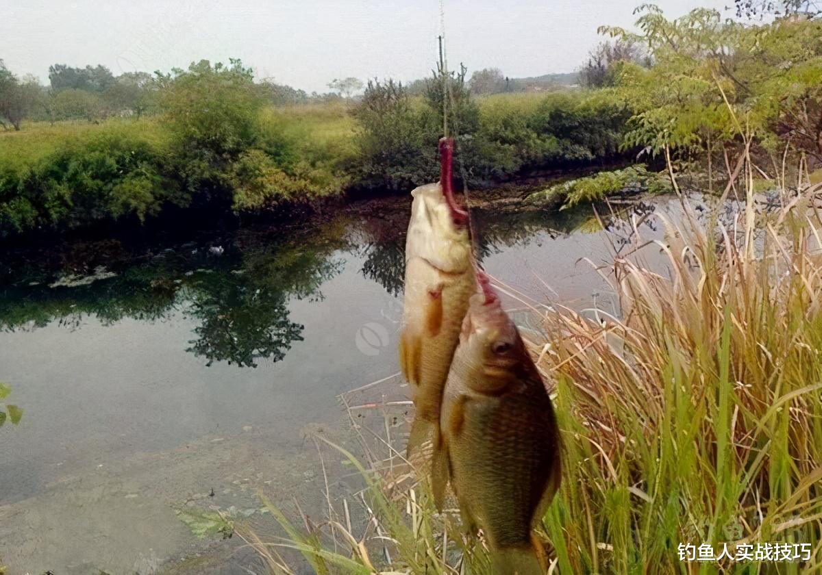 |立冬过后钓鱼难度很大,掌握好几点,也可以有个好的渔获