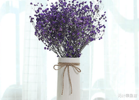 金牛座|在职场中胜人一筹的4个星座,无所畏惧,勇往直前,必将成功