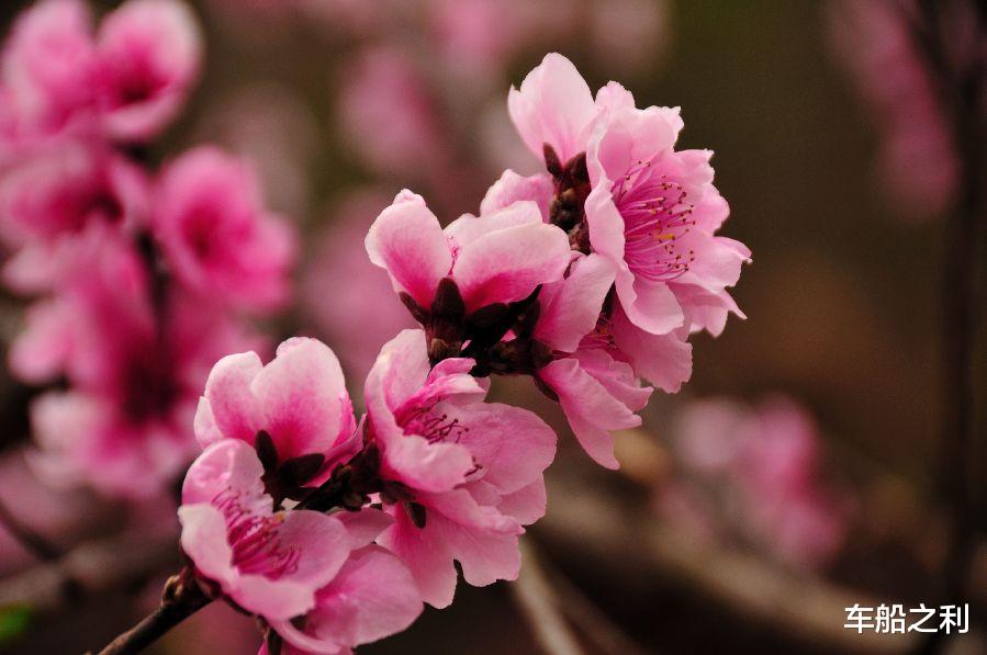 『生肖』恭喜！7月5号3生肖好运到，被列入幸运名单，财如雨下，不接不吉