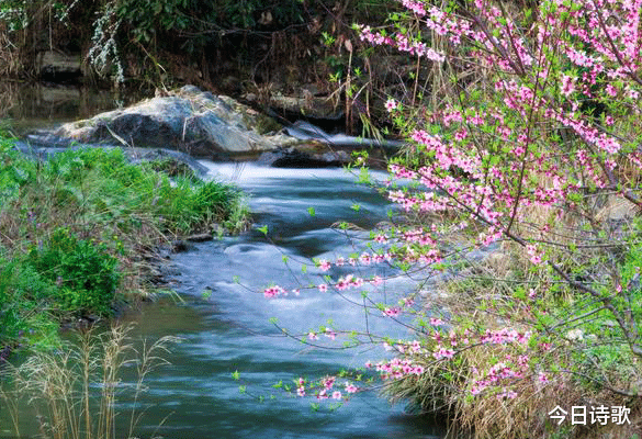 陶渊明:唐诗中很美的一首诗,短短28个字,抵得上一篇《桃花源记》