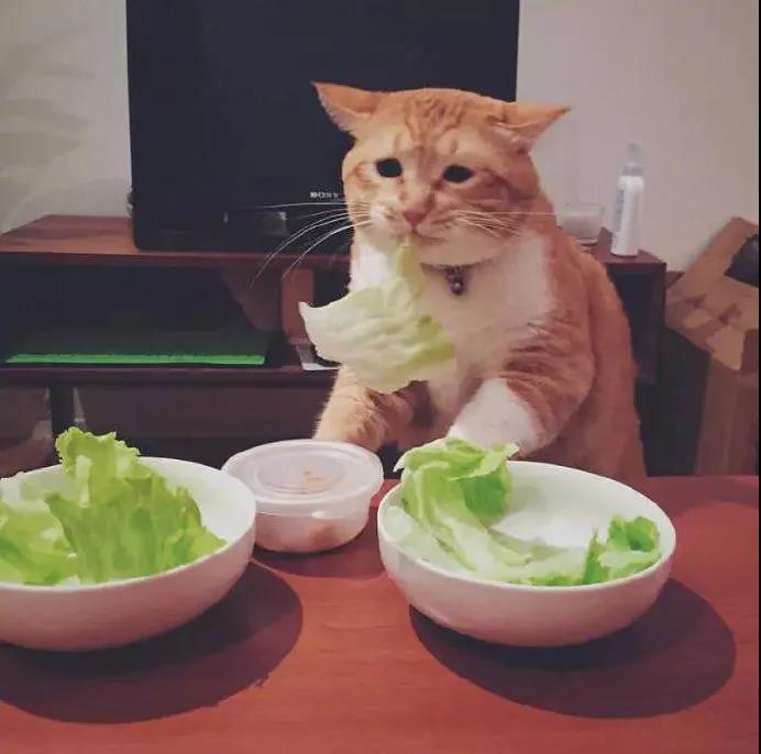 |“在我弟弟床底下打扫出来的是什么？难道弟弟背着我们...？”哈哈哈哈