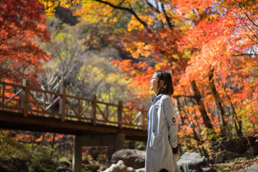 长白山|秋天的东北藏不住了，一组照片流出后，全世界都被惊艳了！