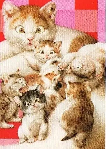 你，这个奸臣，这个南霸天，这个臭猫，这个小可爱