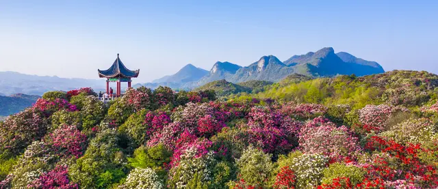 贵州|2020年世界十大旅游地，中国唯一入榜的省份，值得打卡