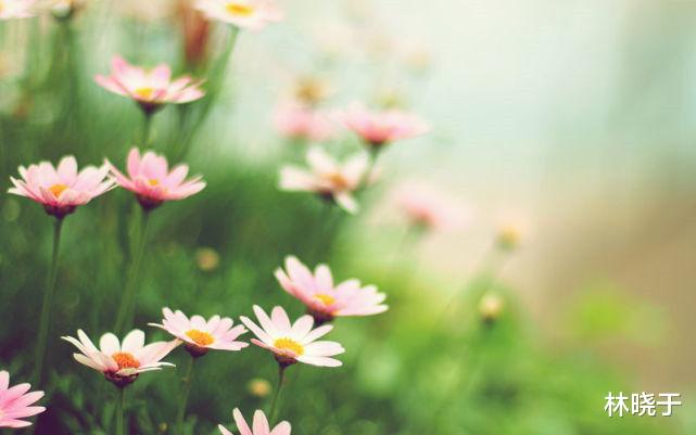 运势|10月16号，六六大顺，4生肖横财挤进门，下半年佛祖保佑！