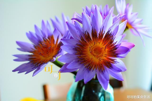 #炒鸡蛋#五一假期一家人的午餐，6个菜居然没有一个肉，老公还说真丰盛