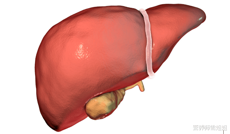 「肝脏」肝好的人，身体会有5个表现，多占一个，也值得恭喜，请继续保持