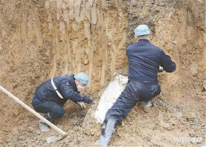 科学家@看到尸体后，为何人内心会感到慌乱？科学家揭开背后真相！