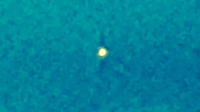 露营|巨大的“荷鲁斯之眼”在美国的夜空中显现