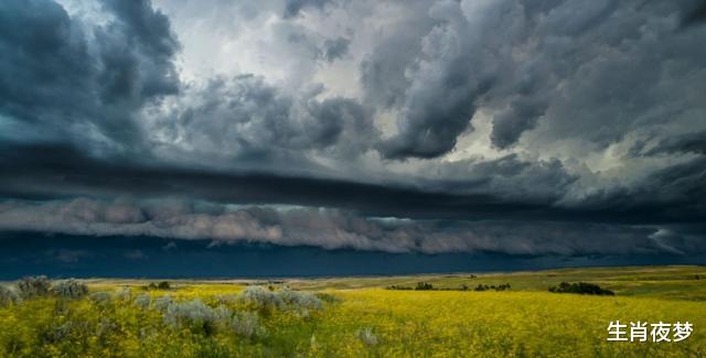 运势：5月底，情深不倦，爱有转机，3生肖执手挚爱，痴恋过去，破镜重圆