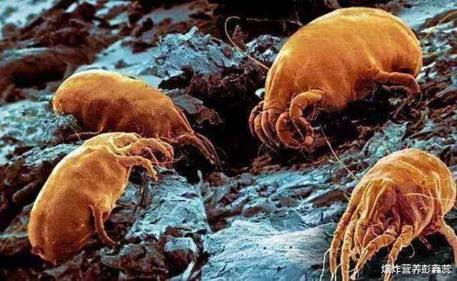 高血压|耳朵经常发痒，又掏不出东西？没你想的那么简单，或许是3个问题