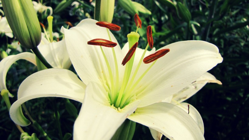 生肖▲6月底，喜鹊报喜，月老送姻缘，4大生肖巧遇良缘，牵手今生所爱！