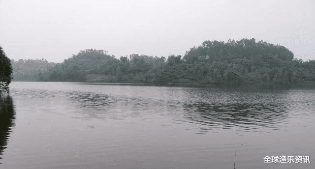 ▲这是什么鱼？水库中钓了条鱼，像青鱼可它又黑又瘦，有钓鱼人认识吗
