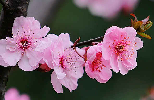 天蝎座■下周开始，4属相日子顺遂，财喜越来越多，有贵人指点，八方来财