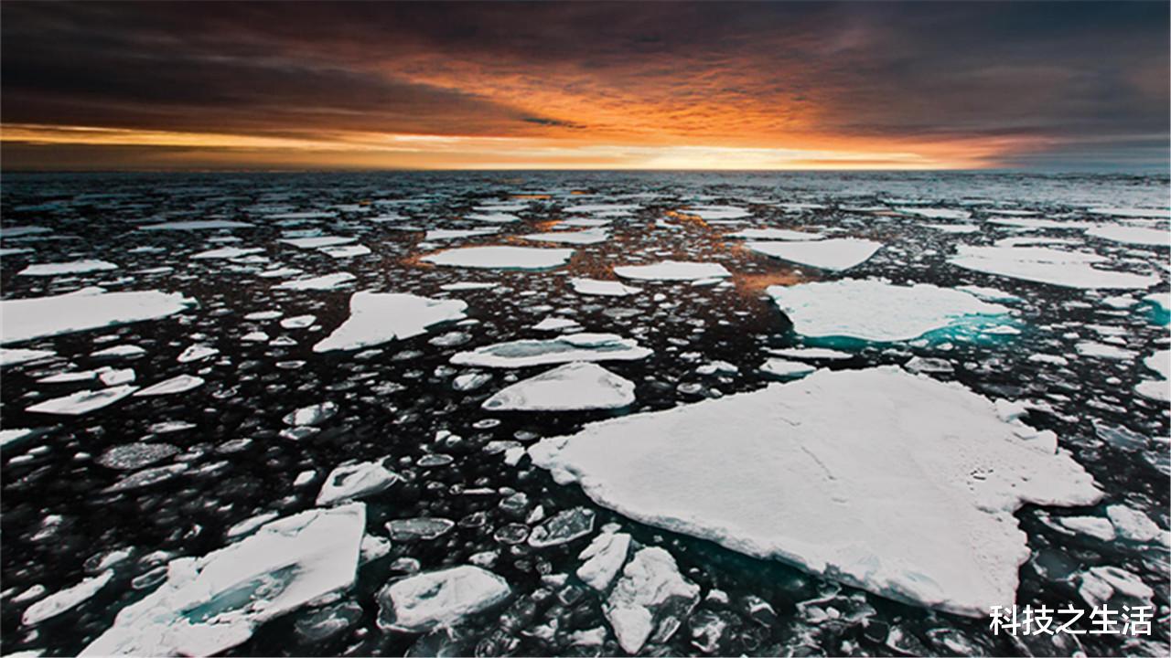 |网友找到30年前的报纸，它写了什么？为何有人说它是“神预言”？