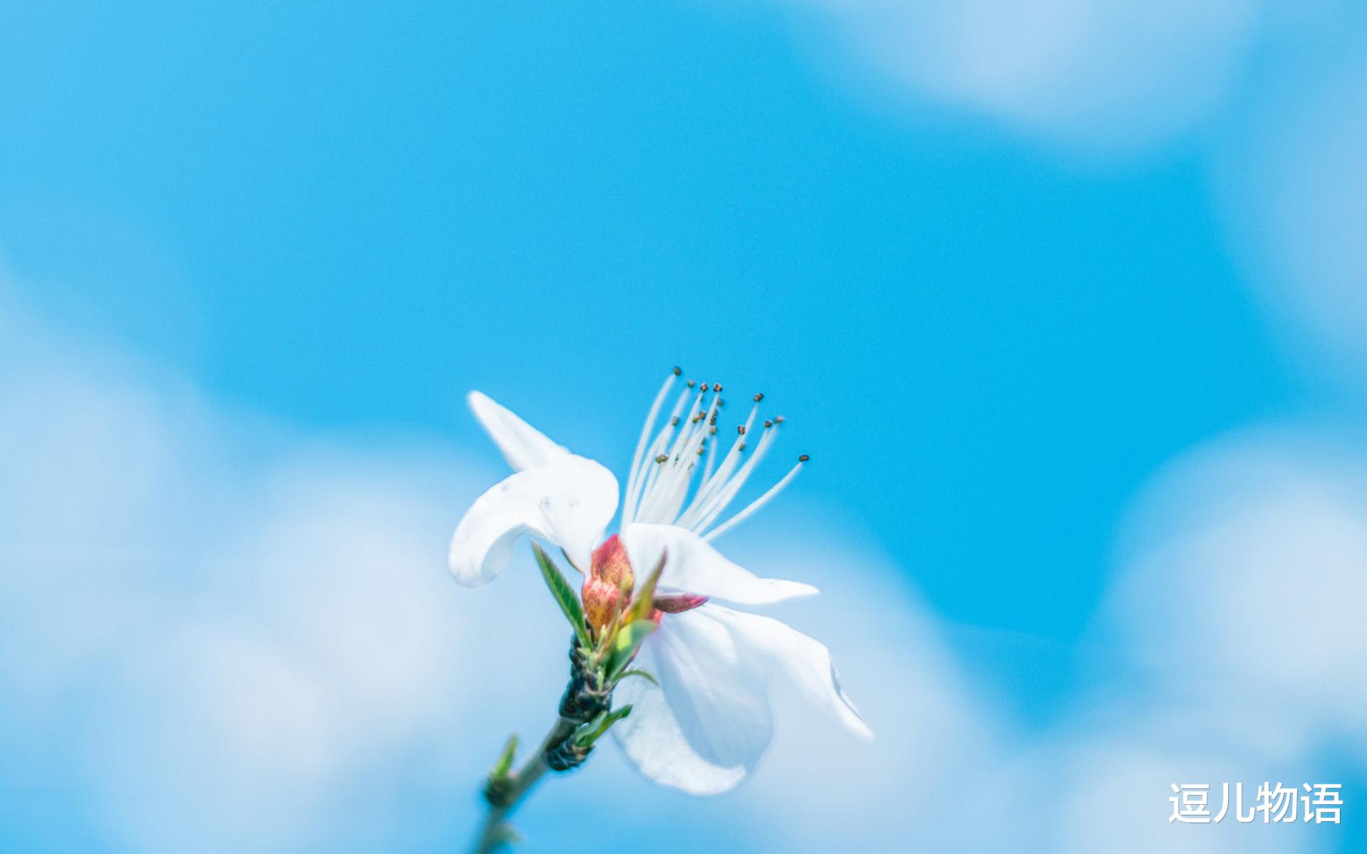 生肖@生肖虎“越老越穷”，脾气暴躁，思维狭窄，注定一事无成？