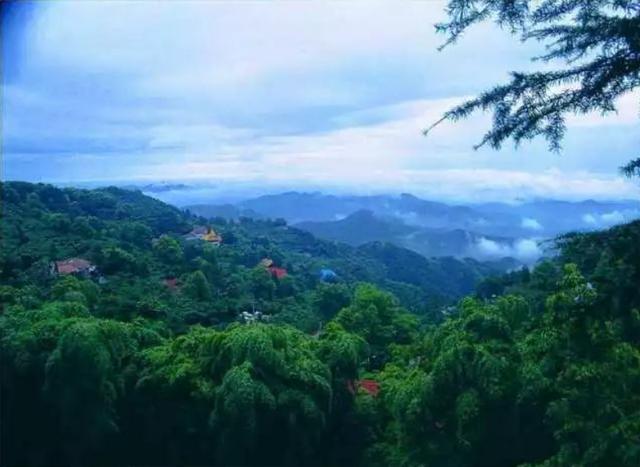 『莫干山』被称为民宿界的“巴黎岛”，竹林幽幽，享有“江南第一山”的美誉