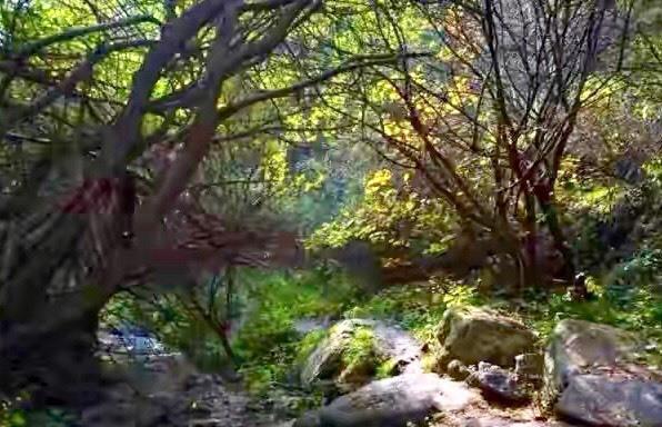 自然风光|太原山上藏着一个世外桃源,自然风光不加任何修饰,景美还免费