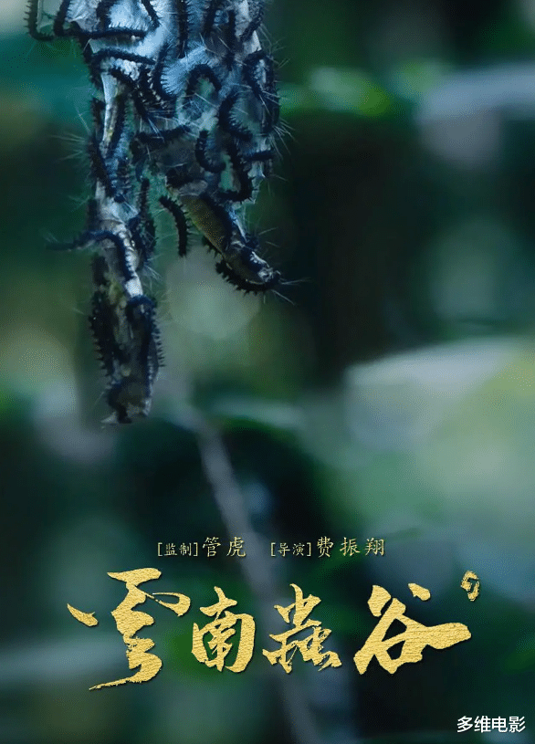 胡八一@《鬼吹灯》的正确追剧顺序，盯准这5部剧即可，多余的都是烂片