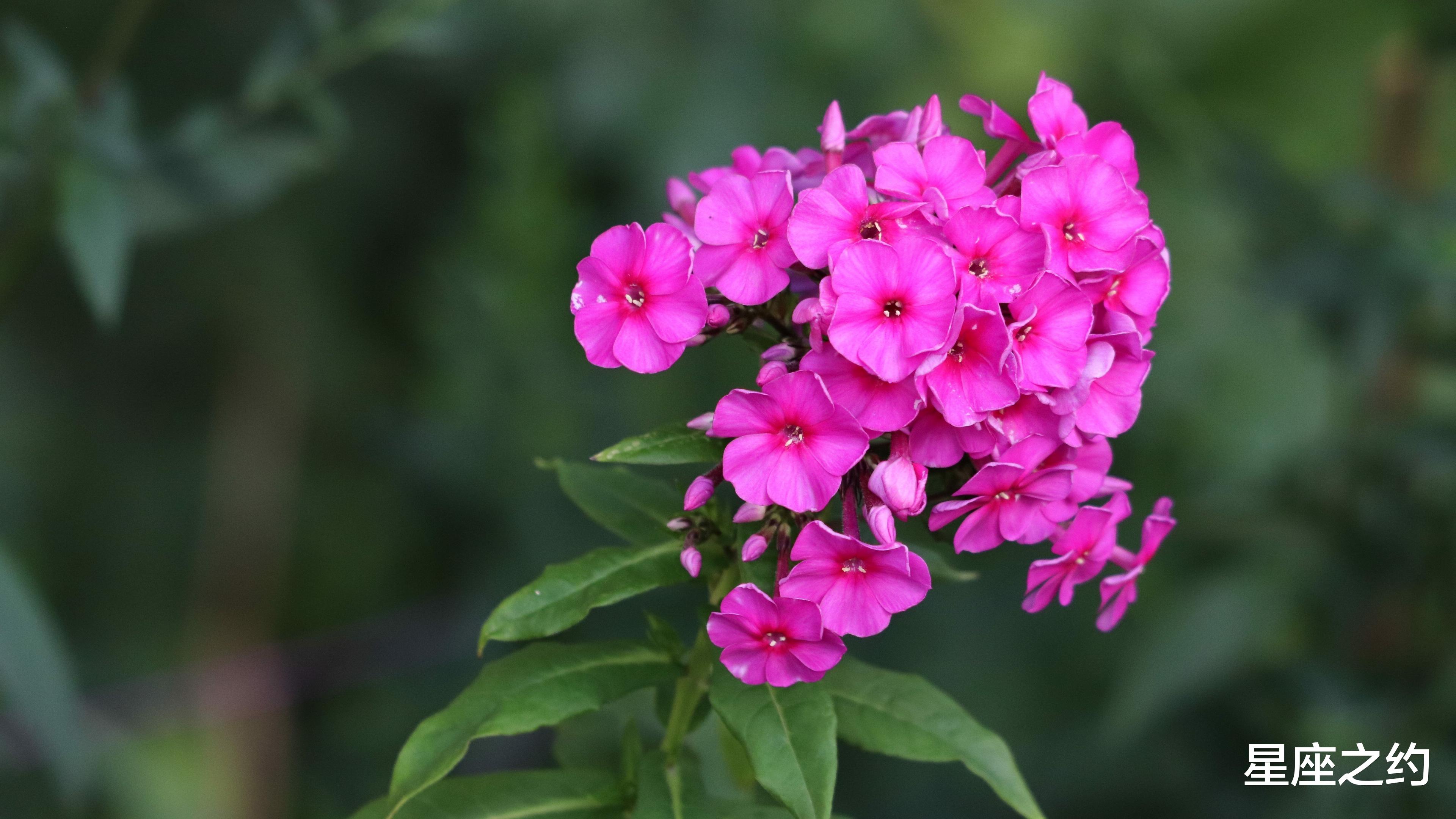 运势|从10月份开始，走出困境，扭转局势，脱颖而出的三大星座