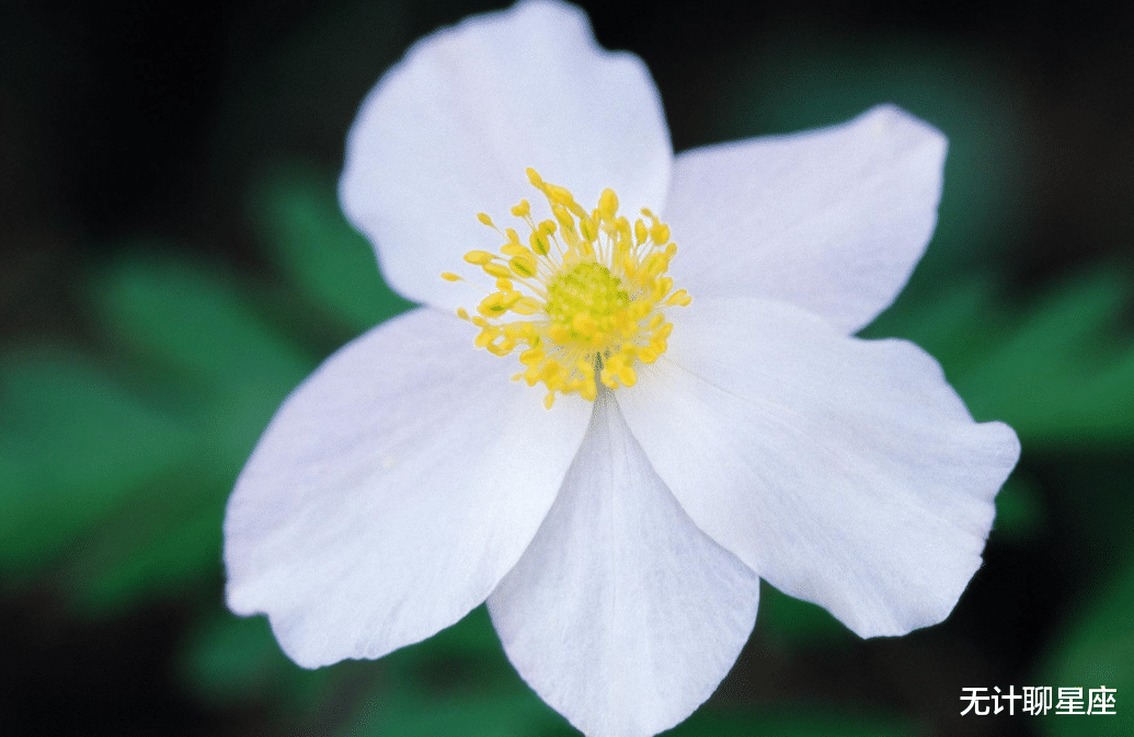 |九月份，遇到好事、非常有福气的4个星座，抓住机会，无往不胜