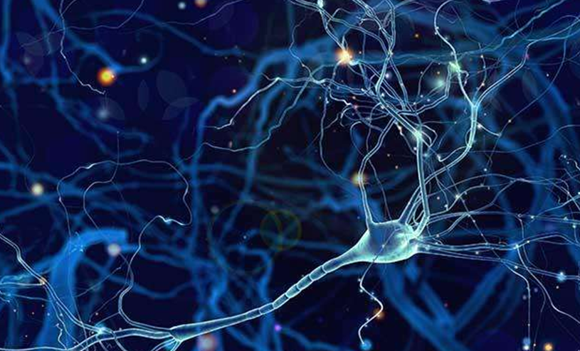 「方舱医院」老年痴呆的“祸根”已找到:这种食物吃多了,大脑或会提前变傻