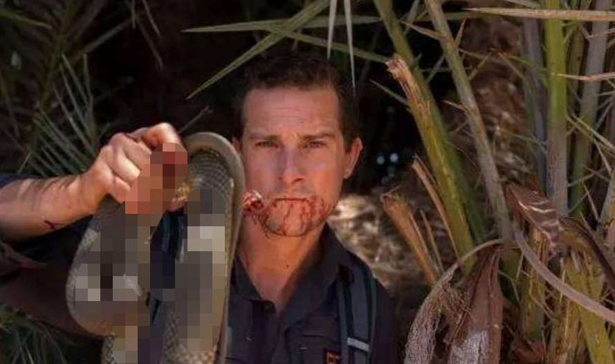 肿瘤|当年爆红“站在食物链顶端”的贝爷，为何突然不见了？