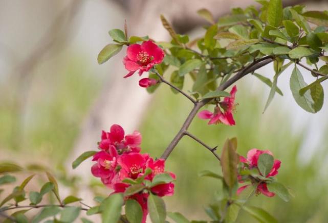 运势|7、8、9月份，大喜天降，3生肖运势飞涨，财气旺盛，收获喜人