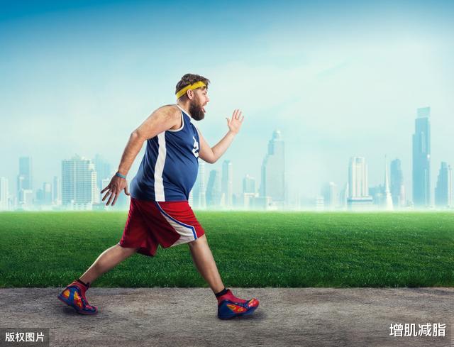 『肝脏』一个胖子做有氧，一个胖子做重训，长期坚持，两人有什么区别