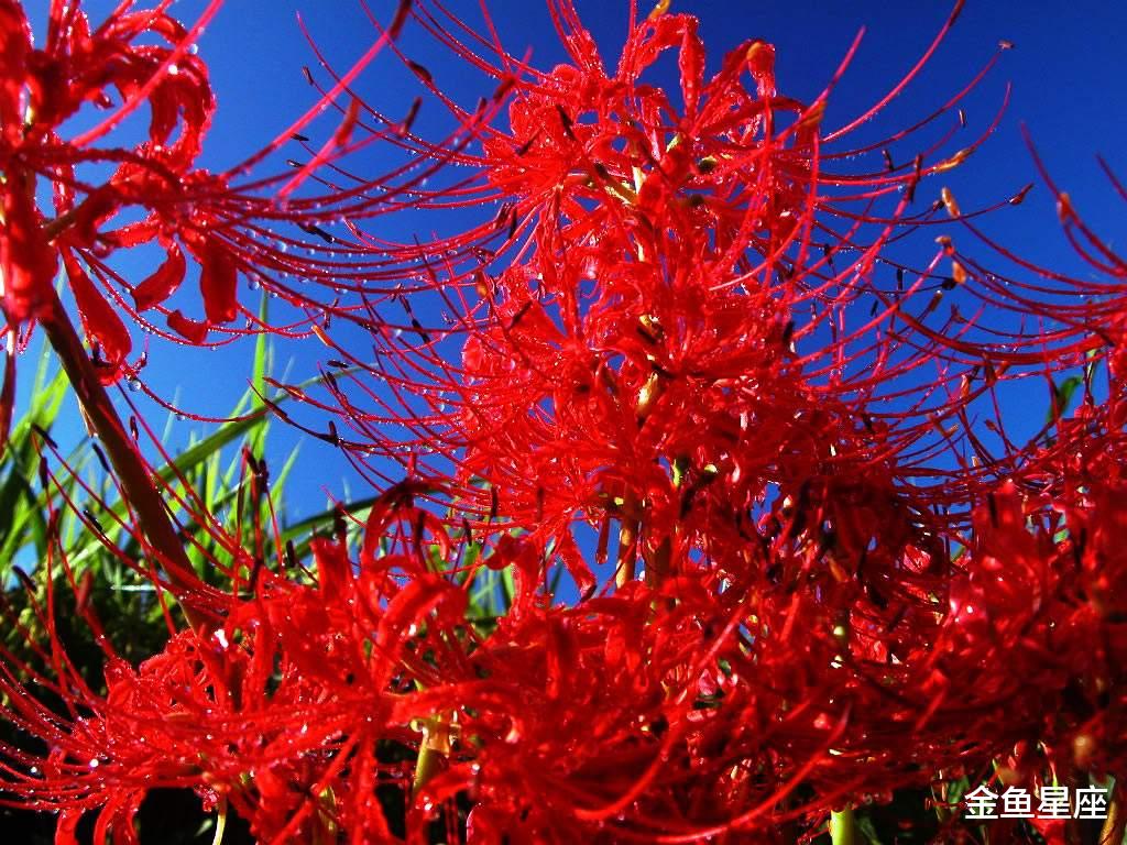 「生肖」最近一月,财喜备至的3大生肖,事业顺遂,前途不断攀升