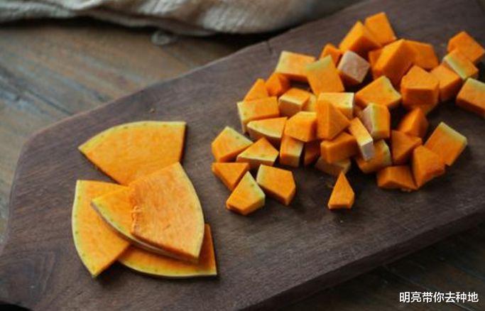 『南瓜』医生不会告诉你：这些关于南瓜的实用“冷知识”，遇到要珍惜