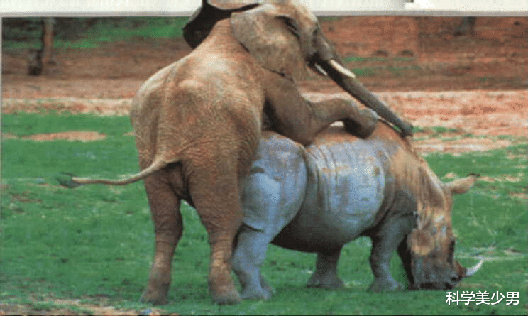 基因|人类为什么要让动物杂交，杂交有什么好处？