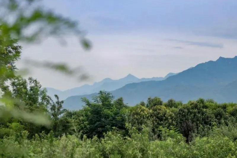 #齐鲁壹点#西安旅游：端午去哪玩？采摘、赏景、垂钓，西安周边游乐看这里