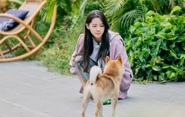 陈赫|向往的生活大结局,老舅长英齐唱心火烧,网友:没有下一季了?