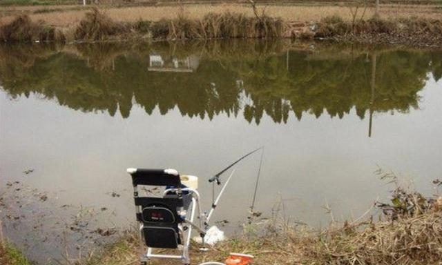 鲤鱼：六月一热，我只想封竿不钓，不料十年老司机透露这狠招，太过瘾了