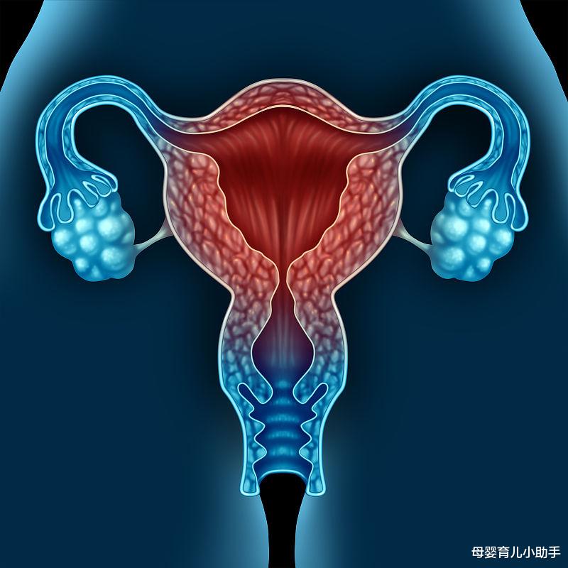 「」女性没有了子宫，除了不能生孩子，与正常人还会有什么不同?