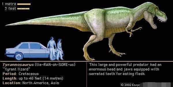 地球上十大食肉恐龙排行，全都非常凶猛，最大的并非霸王龙
