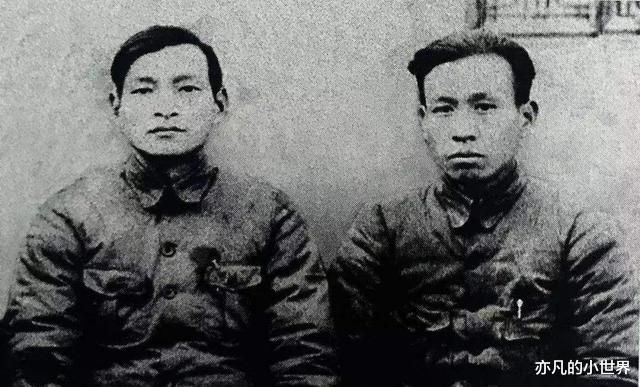 电视剧|94年，为什么陈云会亲自打电话到电视台，指名这部电视剧：马上停