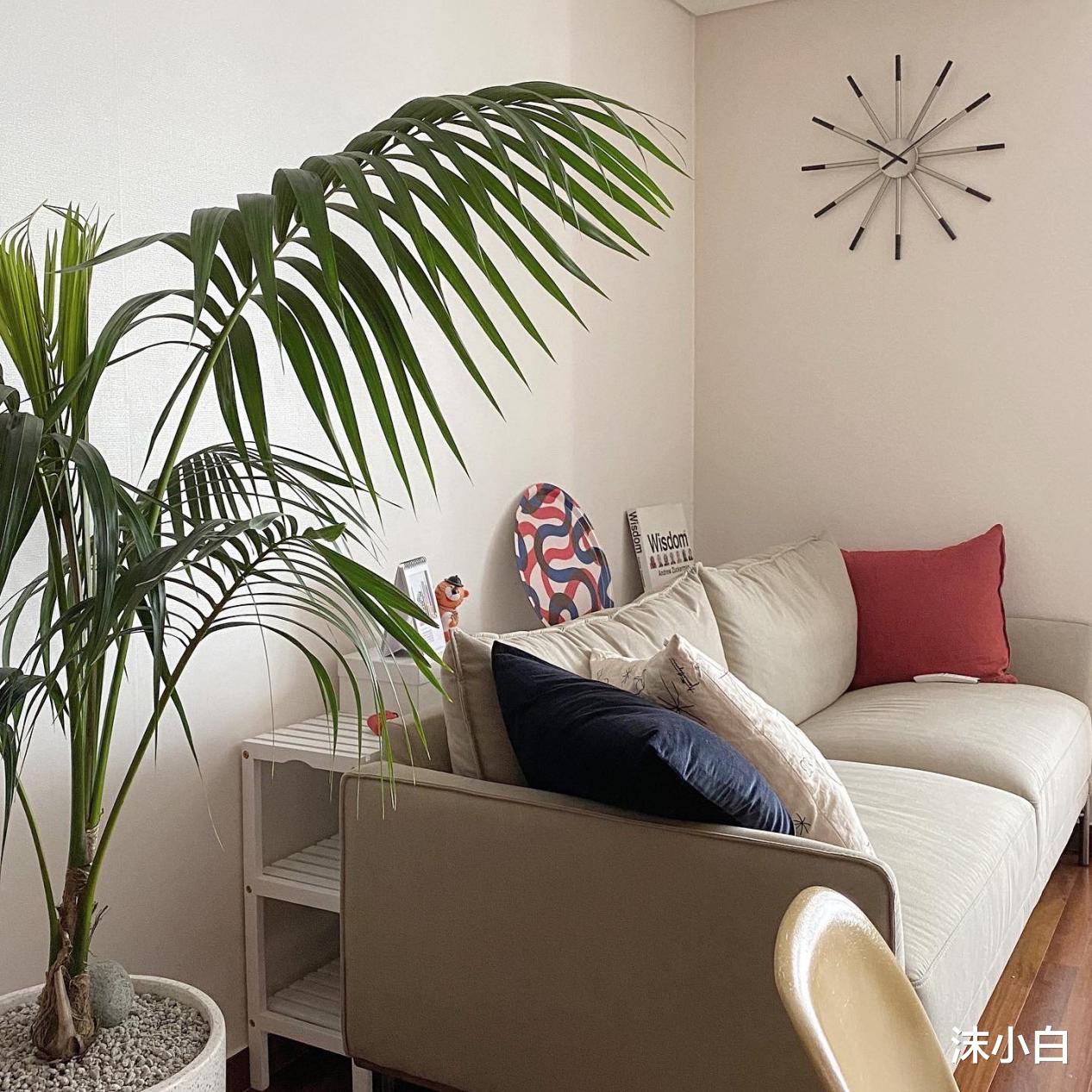 |扔扔扔！扔掉不要的杂物，回字廊玄关道，产证45㎡变70平！划算