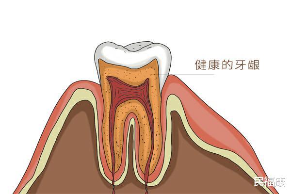 肝脏|男性早起后有三个表现,说明肝脏已经伤痕累累,早发现早调理