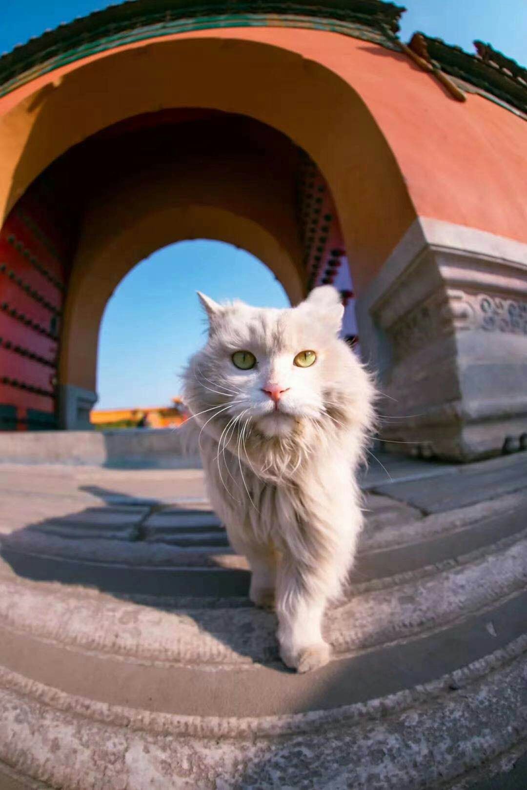 炒期货|抓住用户真实痛点，财源滚滚